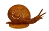 Edelrost Gartenfigur Schnecke rostige Gartendekoration aus Produktbild-Vorschau 1
