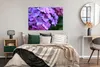 MuchoWow® Poster Blumen - Lila - Hortensie - Natur - Produktbild-Vorschau 4