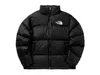 THE NORTH FACE doudoune homme noir - L Voir les images du produit 5