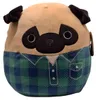 Squishmallows Mops, Pies zabawka, 3 lat(a) Podgląd zdjęcia produktu 1