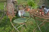 H.O.C.K. Classic Uni Outdoor Sitzkissen MINNI Bistrokissen Produktbild-Vorschau 4
