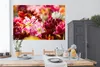MuchoWow® Poster Mehrfarbige Tulpen 180x120 cm - Fotoplakat Produktbild-Vorschau 4