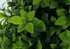 Künstlicher Buchsbaum HWC-Q89, Buchs Buxus im Topf Dekobaum Produktbild-Vorschau 2