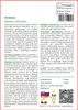 SAFLAX - Verbena - Verbena officinalis - 250 Semená Náhľad obrázku produktu 3