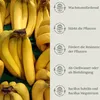 Floravera Premium Bananen Flüssigdünger 2 x 1 Liter Produktbild-Vorschau 4