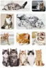 Herma DECOR Sticker Katzenkinder weiß 3 Blatt 24 Sticker Produktbild-Vorschau 2