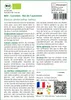 SAFLAX  -- Carottes - Roi de l'automne - 1000 graines - Voir les images du produit 3