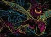 Leuchtende Dragons Ravensburger 13710, 100 Teile Produktbild-Vorschau 4