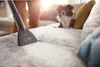 Philips beutelloser Staubsauger 2000 Series, SuperClean Produktbild-Vorschau 8