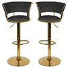 Lot de 2 tabourets de bar avec dossier en velours, Voir les images du produit 1