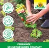 Neudorff Ferramol Schneckenkorn compact 700g für 280m² - Produktbild-Vorschau 5