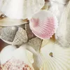 Relaxdays Muschel Deko, 3er Set, echter Muschel-Mix, Produktbild-Vorschau 9