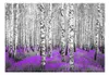 Basera Fototapete Waldmotiv 10110903-51, Vliestapete, Produktbild-Vorschau 2