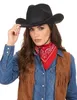 Cowboy-Hut Western-Hut schwarz - Einheitsgröße Produktbild-Vorschau 2