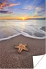 MuchoWow® Poster Seestern - Meer - Sonne 40x60 cm - Plakate Produktbild-Vorschau 1