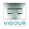 VIGOUR TEES WC-Betätigungsplatte für 2-Mengenspülung, chrom Produktbild-Vorschau 1