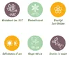 Green boutiQ - Gartenpflanze - Hydrangea Endles Summer The Produktbild-Vorschau 8