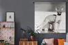 MuchoWow® Wandteppich Wandbehang Sportliche Sphynx-Katze Produktbild-Vorschau 5