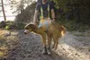 Ruffwear BackTrak™ Evakuierungsset für Hunde Cloudburst Produktbild-Vorschau 4