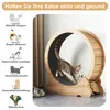 Mondeer Jouet intelligent pour animaux Tapis roulant pour Voir les images du produit 7
