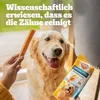 A golden retriever dog is looking at a hand holding a dog treat and a package of Pedigree Dentastix. Produktbild-Vorschau
