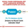 Royal Canin Labrador Retriever Junior, Welpe, Labrador Produktbild-Vorschau 4