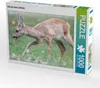 CALVENDO Puzzle Kitz auf einer Lichtung | 1000 Teile Produktbild-Vorschau 2