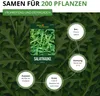 Salatrauke Einjährig Samen - Eruca sativa - Salatraukesamen Produktbild-Vorschau 3