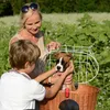 Klickfix Rixen&Kaul Doggy Basket für GTA Platte Hundekorb Produktbild-Vorschau 8