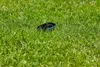 Gardena smart Irrigation Control Sensor Set Produktbild-Vorschau 6