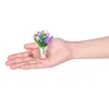 Mini Marchi giardino botanico assortiti Anteprima dell’immagine prodotto 14