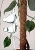 Sfere di vetro per annaffiare le piante in vaso - A forma Anteprima dell’immagine prodotto 35