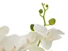EUROPALMS Orchidee, Kunstpflanze, cremefarben, 80cm Produktbild-Vorschau 3