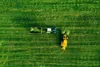 Muralo XXL Selbstklebende FOTOTAPETE FELD Traktor Aussicht Produktbild-Vorschau 2