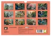 Bonsai meditativ (Wandkalender 2027 DIN A4 quer), CALVENDO Produktbild-Vorschau 2