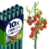 KADAX Bastoni per piante 150 cm x 16 mm, set di 10 - Anteprima dell’immagine prodotto 1