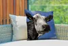 MuchoWow® Outdoor Kissen - Kuh - Weiß - Nase - Tiere - Produktbild-Vorschau 3