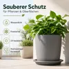 Pflanztopfuntersetzer Mira Anthrazit Ø 44cm - Frostsicher & Produktbild-Vorschau 2