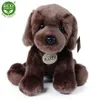 Peluche Labrador Retriever 26 Cm Ecologico Anteprima dell’immagine prodotto 8