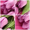 Bilder auf glas - Tulpen Blumenstrauß Garten - 30x30cm - Produktbild-Vorschau 8