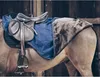 Kentucky Horsewear Ausreitdecke All Weather mit künstlichem Produktbild-Vorschau 9