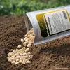 GardenTaurus Puffbohnen (Grosse Bohnen) Frühe Weißkeimige Produktbild-Vorschau 2