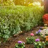 Gardena Micro-Drip-System File piantate S - Linea di Anteprima dell’immagine prodotto 31