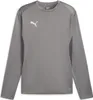 Puma Teamgoal Trainingssweat Kinder - Grau Produktbild-Vorschau 1
