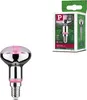 Paulmann Grow Green Edition Filament 230V LED Reflektor R50 Produktbild-Vorschau 1