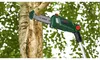 Bosch 06008B3101 Bosch UniversalChainPole 18 solo Vista previa de la imagen del producto 3