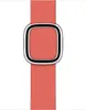 Apple Modern Buckle Apple Watch large 38mm / 40mm / 41mm Produktbild-Vorschau 1