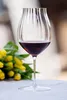 RIEDEL 5884/67-1 PERFORMANCE Pinot Noir Weinglas Produktbild-Vorschau 20