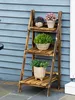 A wooden plant stand with three shelves, holding potted plants, against a blue wall. Produktbild-Vorschau