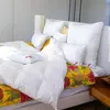 Paradies Kopfkissen 40x80 cm "Softy Top fest" vegan Produktbild-Vorschau 4